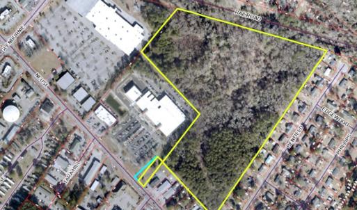 Neuse Aerial