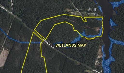 wetlands map