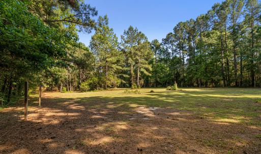11+ acre parcel