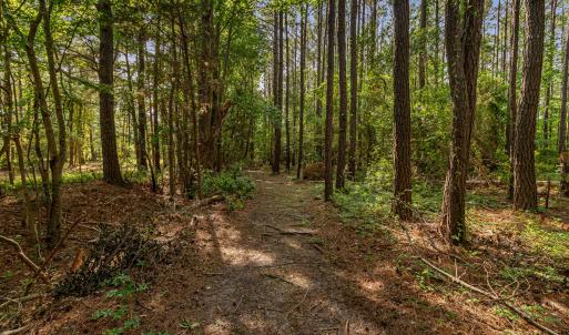 Walking trails