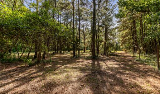 11+ acre parcel