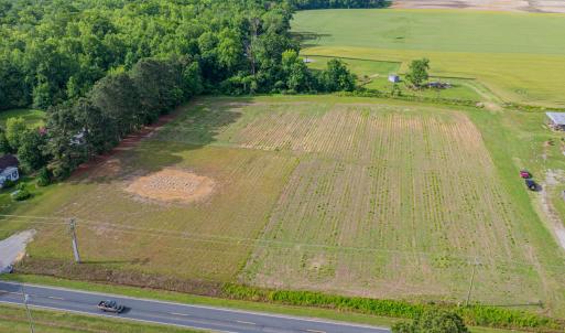 243 Wildcat RD Edenton-15