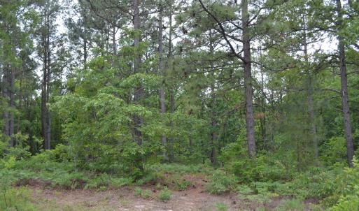 Old Barnwell Rd (33)