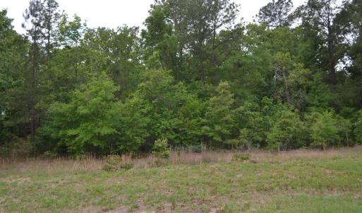 Old Barnwell Rd (40)