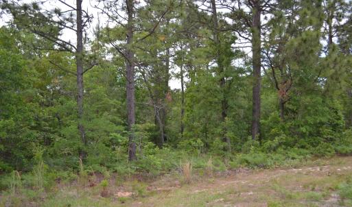 Old Barnwell Rd (30)