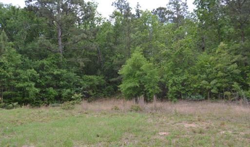 Old Barnwell Rd (39)