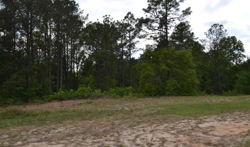 Old Barnwell Rd (28)