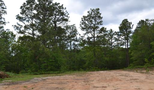 Old Barnwell Rd (35)