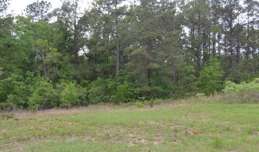 Old Barnwell Rd (41)