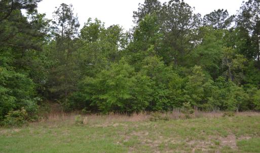 Old Barnwell Rd (17)