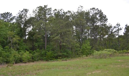 Old Barnwell Rd (19)