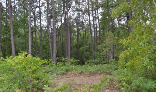 Old Barnwell Rd (29)