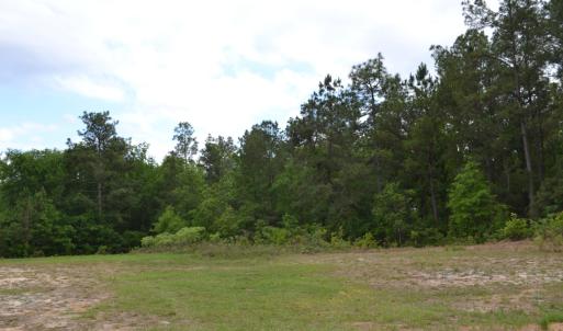 Old Barnwell Rd (36)