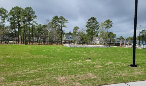 Ridge Lawn