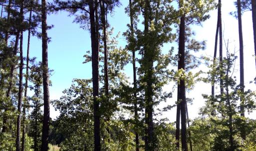 2025 Vass Carthage Rd Front Road side Tr