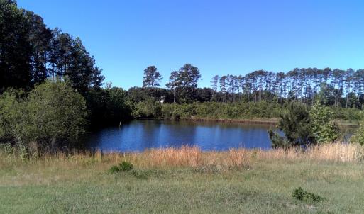 2025 Vass Carthage Rd Pond