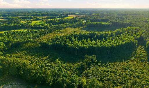 Photo #8 of 2025 Vass Carthage, Carthage, NC 92.9 acres