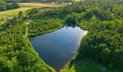 Photo #6 of 2025 Vass Carthage, Carthage, NC 92.9 acres