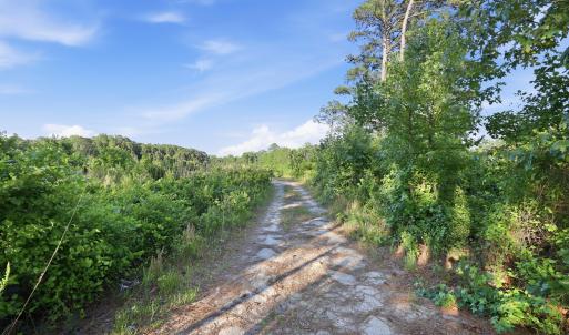 Photo #10 of 2025 Vass Carthage, Carthage, NC 92.9 acres