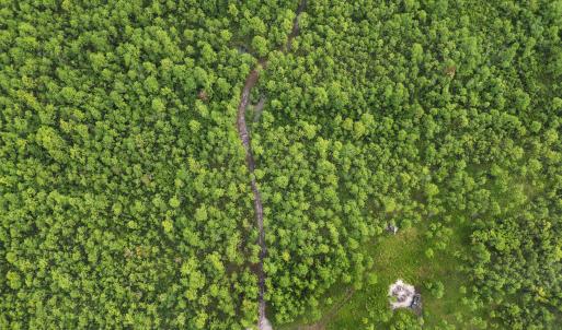 DJI_0555