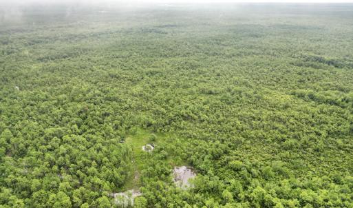 DJI_0565
