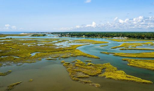 oyster_harbor (23)