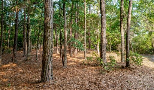 1837harboredge-6