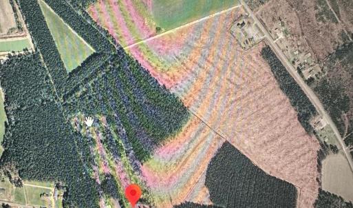 Photo #10 of Near 594 Big Cypress, Nakina, NC 12.8 acres