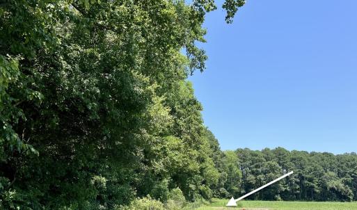 Photo #4 of Tbd Highway, Camden, NC 10.0 acres