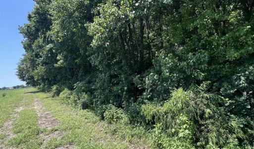 Photo #3 of Tbd Highway, Camden, NC 10.0 acres