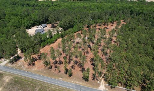 Beautiful 8.42-acres in Bladin Co!