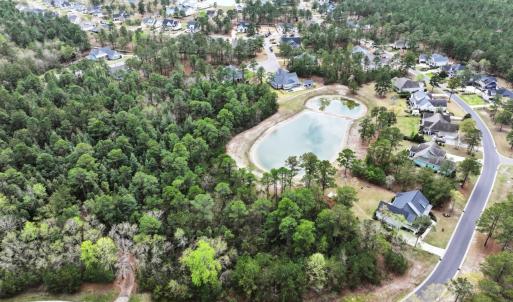 Bluffs Lot 250