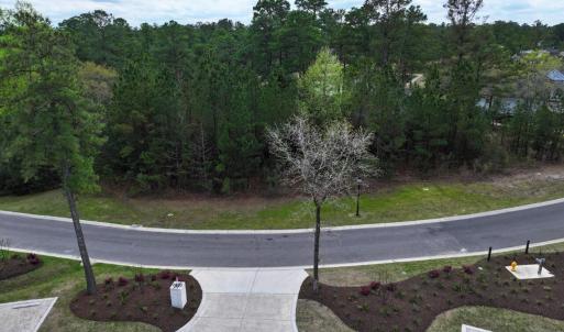 Bluffs Lot 250