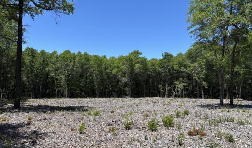 More of Cleared area