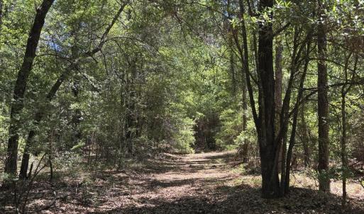 part of pathway