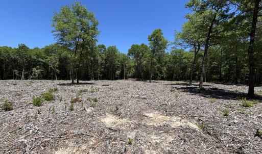 Cleared 1 Acre area