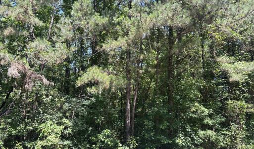 Photo #2 of Bereau, McCormick, SC 1.0 acres