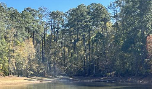 Photo #2 of Lot 10 Bereau, McCormick, SC 1.0 acres