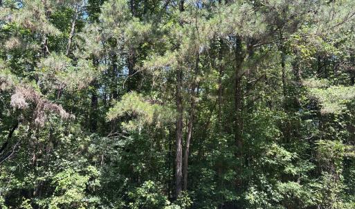 Photo #4 of Lot 10 Bereau, McCormick, SC 1.0 acres