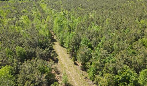 DJI_0234