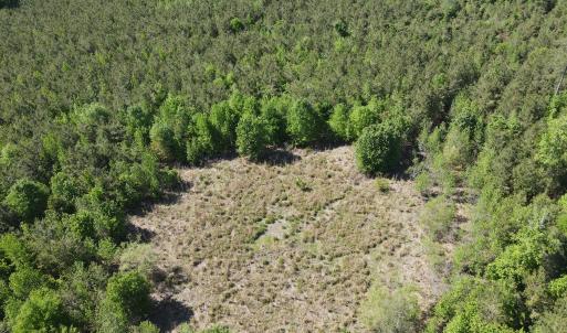 DJI_0231