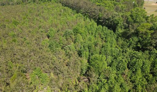 DJI_0229