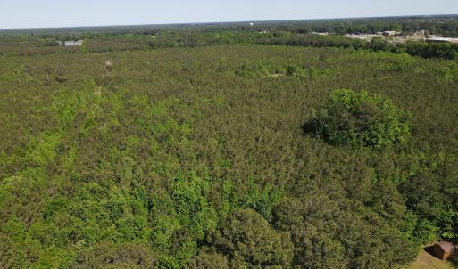 DJI_0237