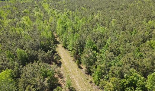 DJI_0234