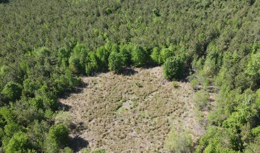 DJI_0231