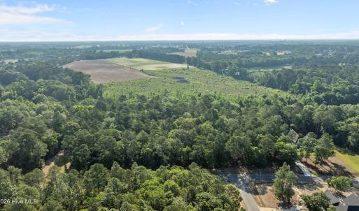 DJI_0341