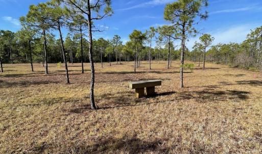 Photo #11 of 3678 Holly Harbor, Southport, NC 1.1 acres