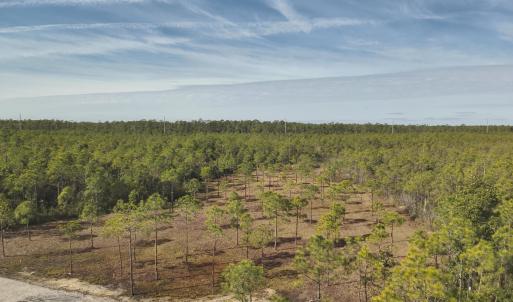 Photo #12 of 3678 Holly Harbor, Southport, NC 1.1 acres