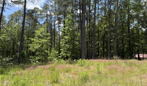 979 Aiken Rd 16