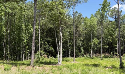 979 Aiken Rd 17